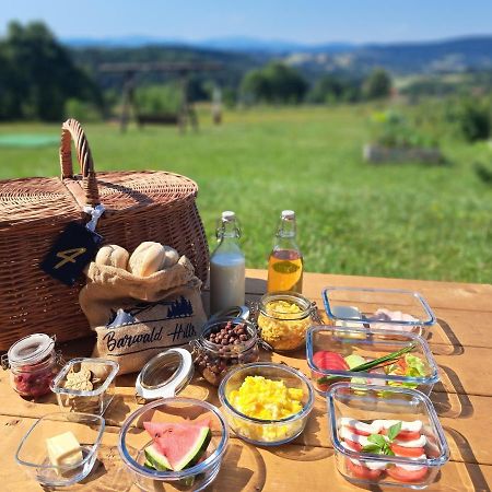 Barwald Hills - Piekny Widok Na Babia Gore I Beskidy Wadowice Zewnętrze zdjęcie
